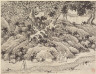 Shen Zhou / Twelve Views of Tiger Hill, Suchou: The Fool's Spring / after 1490