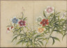 Zhang Ruoai / Desk Album: Flower and Bird Paintings / 18th Century