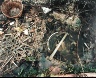 Leo Rubinfien / Garbage in the Chao Phaya, Bangkok, from the portfolio Map of the East / 1979-1987