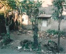 Leo Rubinfien / In a Courtyard, Cirebon, West Java, from the portfolio Map of the East / 1979-1987