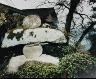 Leo Rubinfien / A Stone Lantern in a Garden, Beppu, Japan, from the portfolio Map of the East / 1979-1987