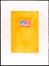 Jasper Johns / Flag on Orange / 1998