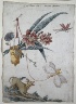 Giacomo Cavenezia / Floral Design with Dog and Insects / 1774