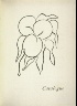 Henri Matisse / Fruits, p. 29, from the book Prints from the Mourlot Press / 1964