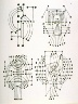 Pablo Picasso / Plate G  (Abstract studies of a guitar) / 1931