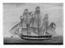 Unidentified / Early American Privateer "Avon" / about 1815