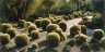 John Pfahl / Golden Barrel Cacti, Huntington Desert Garden, San Marino, California / June 2000