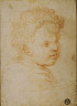 Unknown Cremonese / Head of a Child / 1550-1559