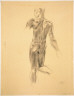 Georg Kolbe / Figure of a Young Man / not dated