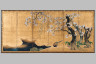 Attributed to Kano Ryokei / Pheasants under Cherry and Willow Trees and Irises and Mist / Edo period, first half 17th century