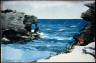 Winslow Homer / Rocky Shore, Bermuda / 1900