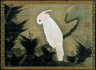 Ito Jakuchu / White Cockatoo on a Pine Branch / 18th Century