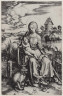 Albrecht Dürer / The Madonna with the Monkey / About 1498