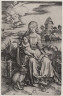 Albrecht Dürer / The Madonna with the Monkey / About 1498