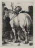 Albrecht Dürer / The Large Horse / 1505