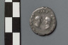 Artist not recorded / Denarius with head of Vitellius / A.D. 69