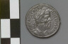 Artist not recorded / Denarius with bust of Pescennius Niger / A.D. 193-194