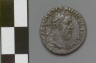 Artist not recorded / Denarius with head of Pescennius Niger / A.D. 193-194