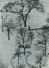 André Kertész / Washington Square, Winter / 1954