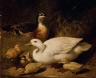 John Frederick Herring, Sr. / Ducks and Ducklings / 1850