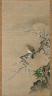 Kano Tanshin Morimasa / Pigeon in Plum Tree / 17th-18th century