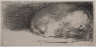 Rembrandt Harmensz. van Rijn / Sleeping Puppy / about 1640