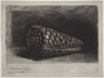 Rembrandt Harmensz. van Rijn / The Shell / 1650