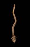 Artist not recorded / Serpent effigy with open mouth, decorated head, and intertwined strands along length of body / not dated