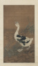 Chinese / Swan Goose Amonng Water Reeds / 1368-1644