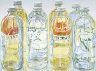 Janet Fish / 8 Vinegar Bottles / 1972-1973