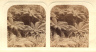 Morton Allport / "The Stereoscopic Magazine: a Gallery of Landscape Scenery, Architecture, Antiquities, and Natural History", 1863 / 1863