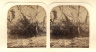 Unidentified Photographer / "The Stereoscopic Magazine: a Gallery of Landscape Scenery, Architecture, Antiquities, and Natural History", 1863 / 1863