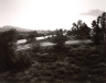 Robert Adams / Looking Toward Los Angeles, Interstate 10, West Edge of Redlands, California / 1982