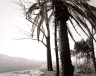 Robert Adams / Redlands, Looking toward Los Angeles across San Timoteo Canyon / 1978