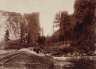 W.H. Lawrence / Castle Gate - Price Canyon / ca. 1883