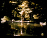 Bill Viola / The Reflecting Pool / 1977-1979