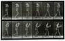 Eadweard Muybridge / PHOTOGRAPH Man taking off his hat / 1887