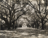 Robert Tebbs / Rosedown Plantation / circa 1929