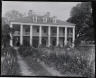 Robert Tebbs / Oak Alley Plantation / circa 1929