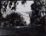 Robert Tebbs / Shadows on the Teche Plantation / circa 1929