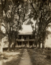 Robert Tebbs / Waverly Plantation / circa 1929