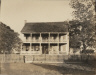 Robert Tebbs / Singleterry Plantation / circa 1929