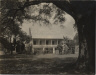 Robert Tebbs / Bellwood Plantation / circa 1929