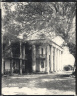 Robert Tebbs / Hermitage Plantation / circa 1929