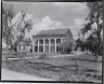 Robert Tebbs / Woodlawn Plantation / circa 1929