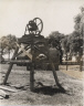 Robert Tebbs / Angelina Plantation / circa 1929