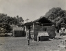 Robert Tebbs / Angelina Plantation / circa 1929