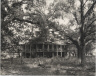 Robert Tebbs / Elmwood Plantation / circa 1929