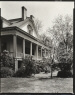 Robert Tebbs / Stauffer Plantation / circa 1929