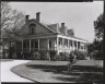 Robert Tebbs / Stauffer Plantation / circa 1929